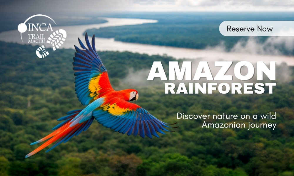 Amazon Tours