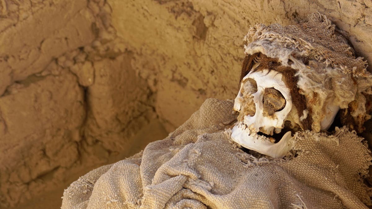 Chauchillas mummies Nazca