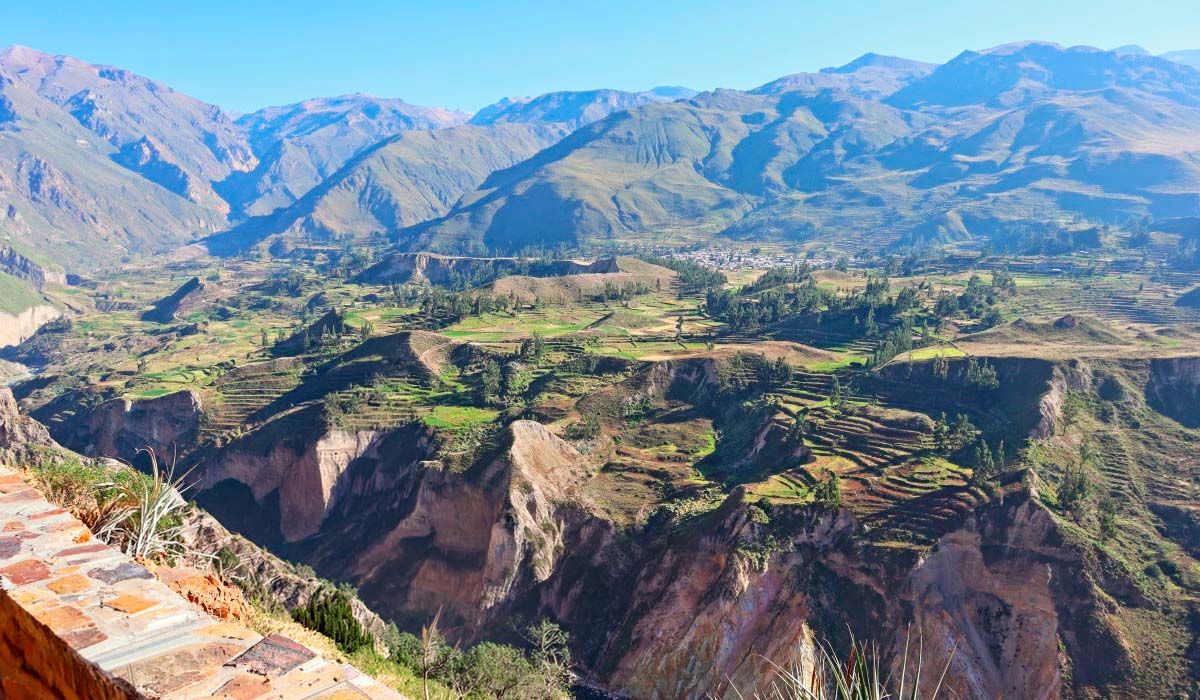 Condor flight Colca Canyon tour