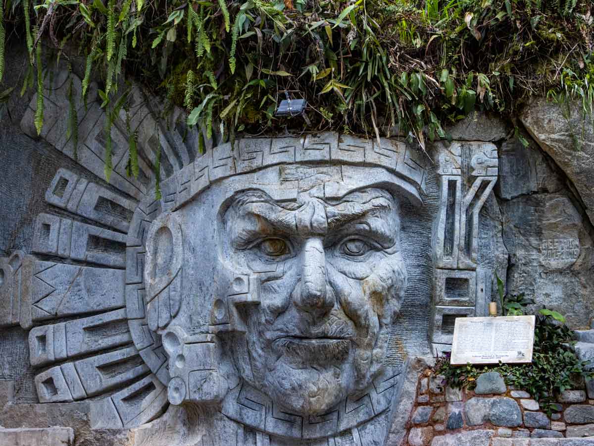 Cruise including Machu Picchu