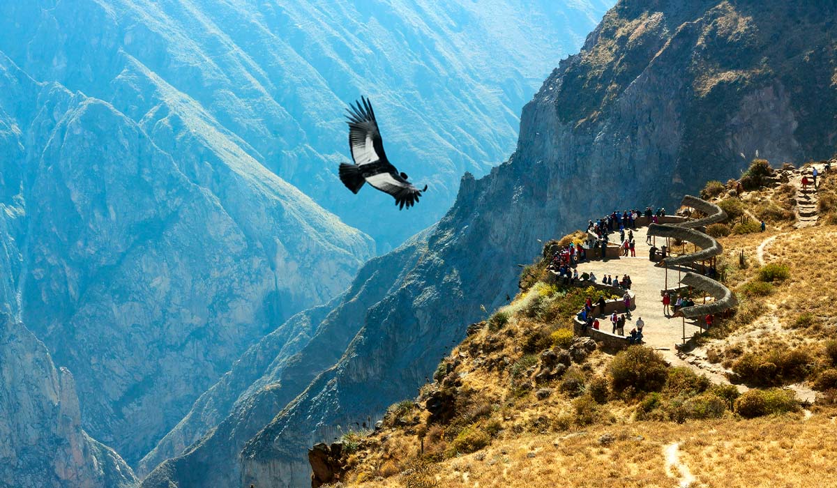 Highlights of Peru