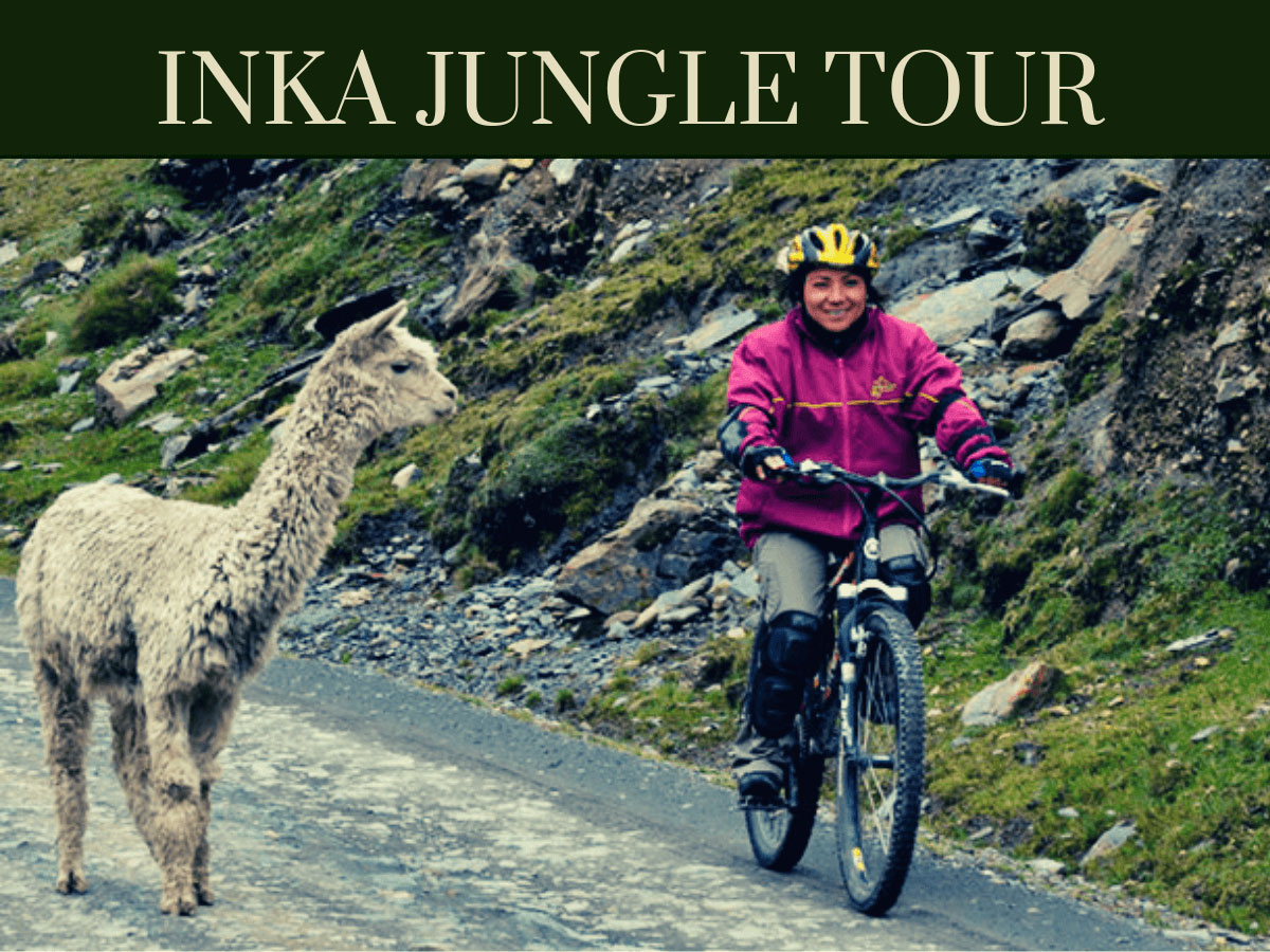 Inca-Jungle-Tour-4-days