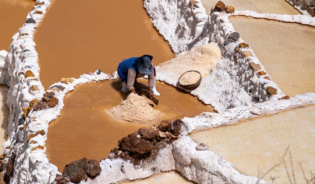 Inca Jungle Trek 12 days