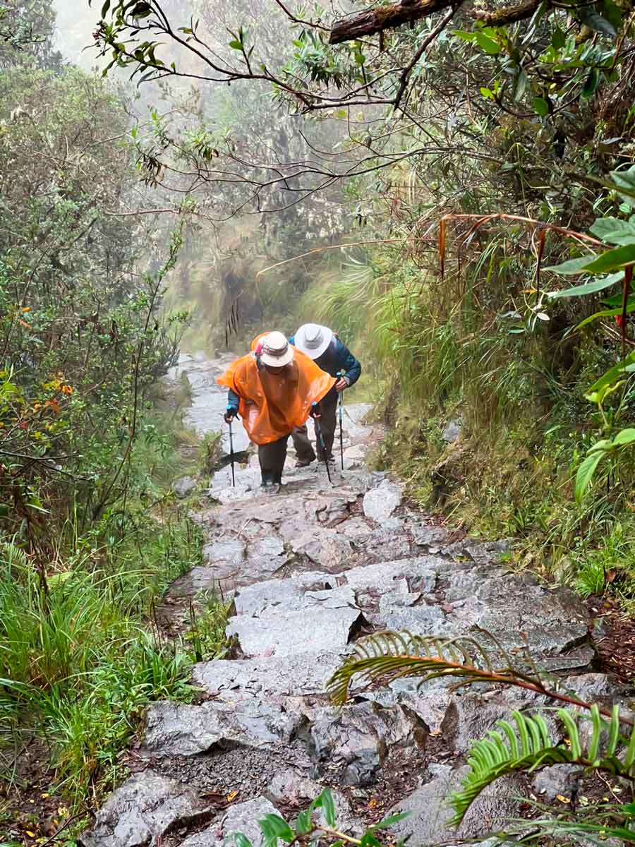 Inca Trail to Machu Picchu Rain Season