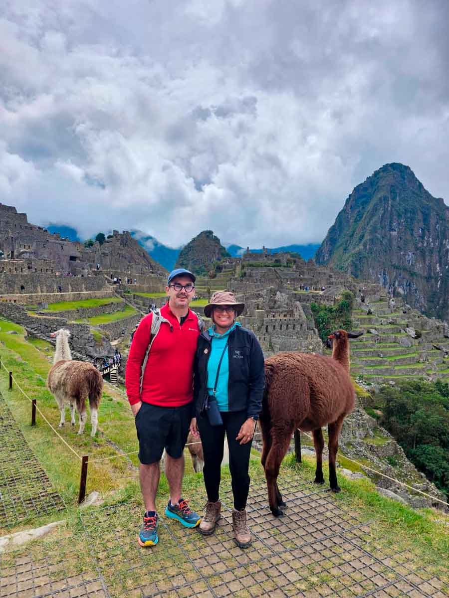 Llama at Machu Picchu Peru