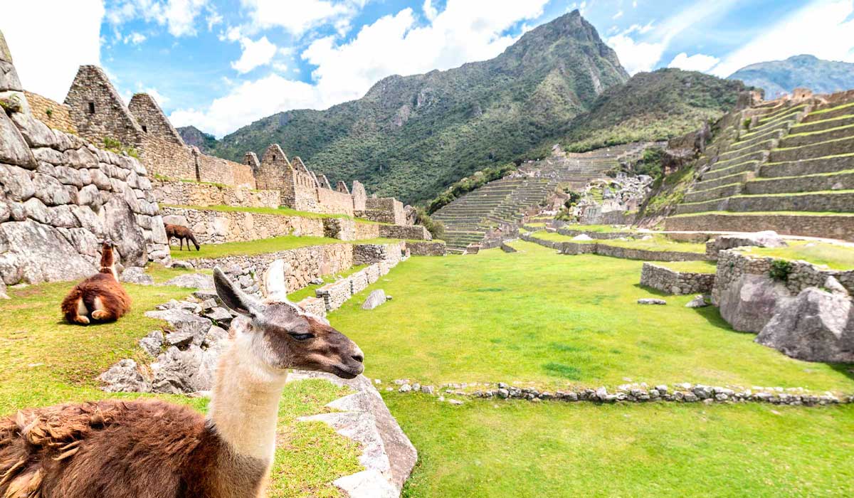 Machu Picchu Photography