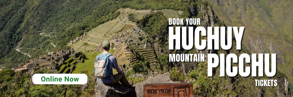Machu picchu ticket