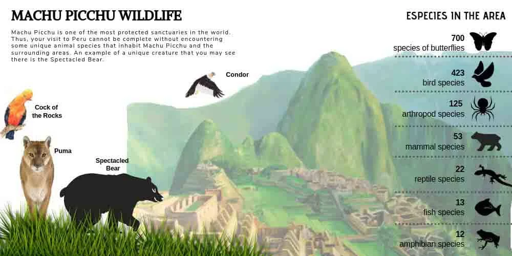 Which Animals can be seen in Machu Picchu?