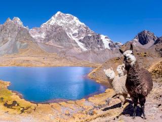 Ausangate Peru & Rainbow Mountain | 5 Day Excursion