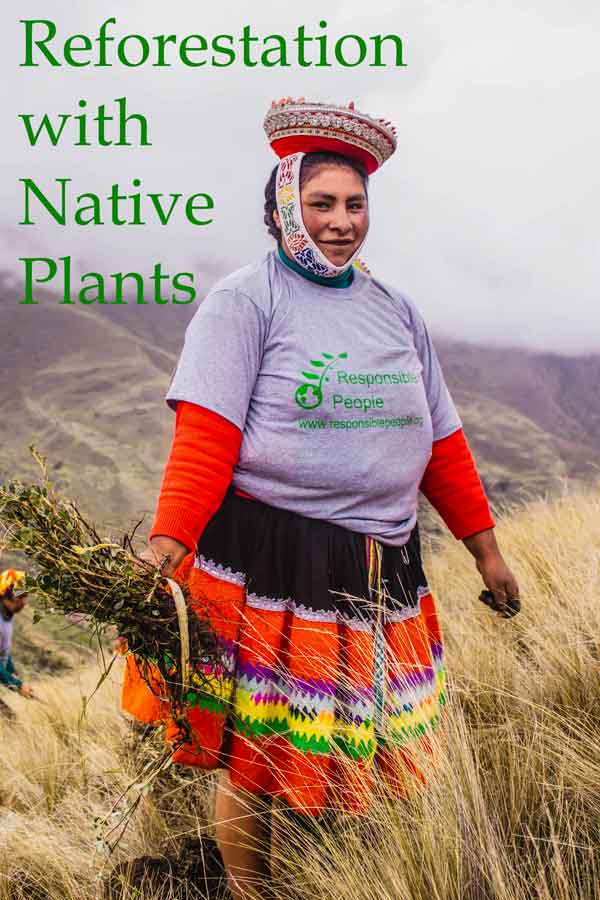 Reforestation with Native Plants