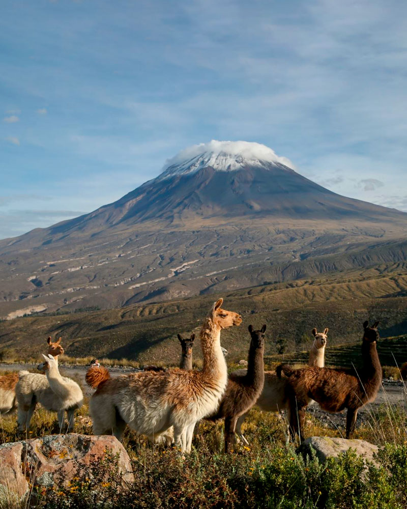 Salinas arequipa