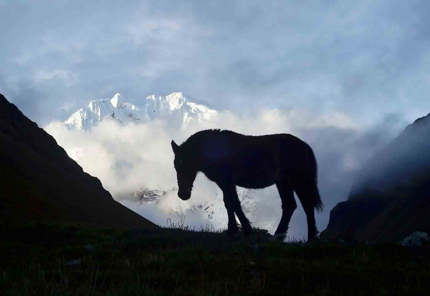 Salkantay Trek to Machu Picchu 5 Days