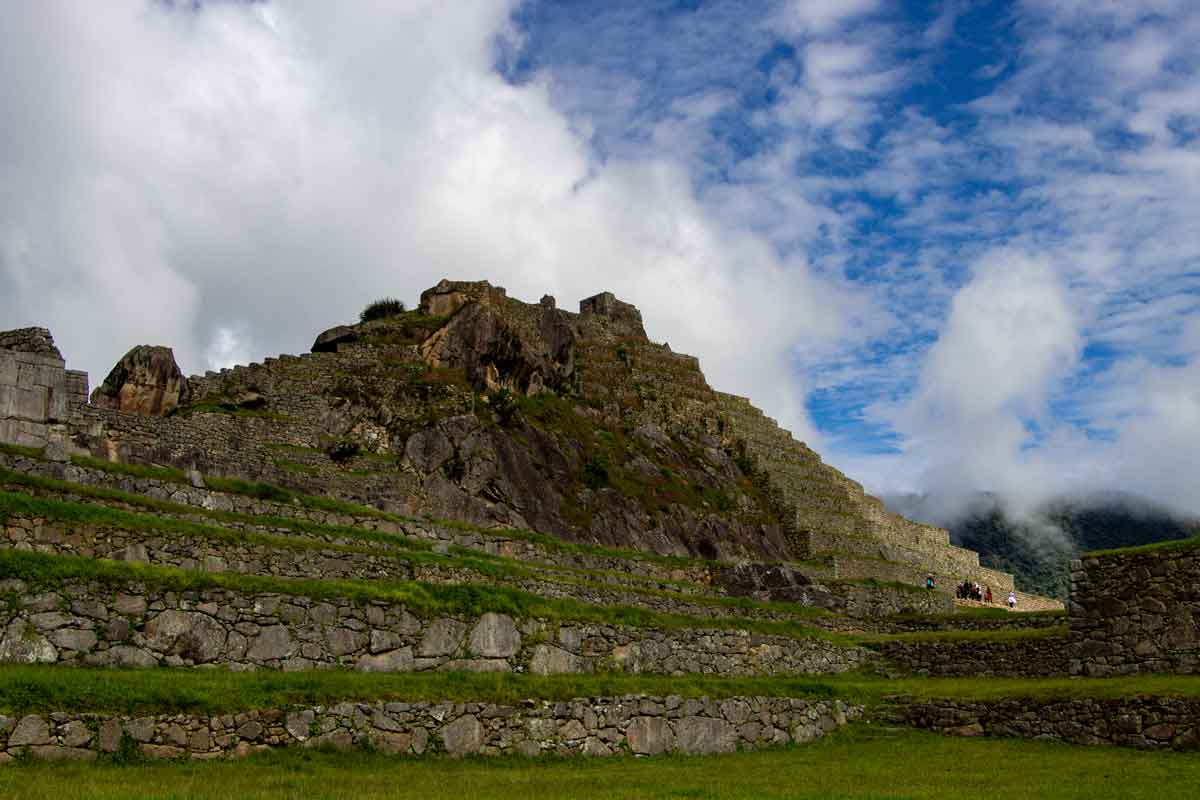 The Best Tours to See Llamas at Machu Picchu