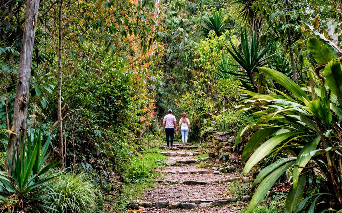 Things to do near Machu Picchu
