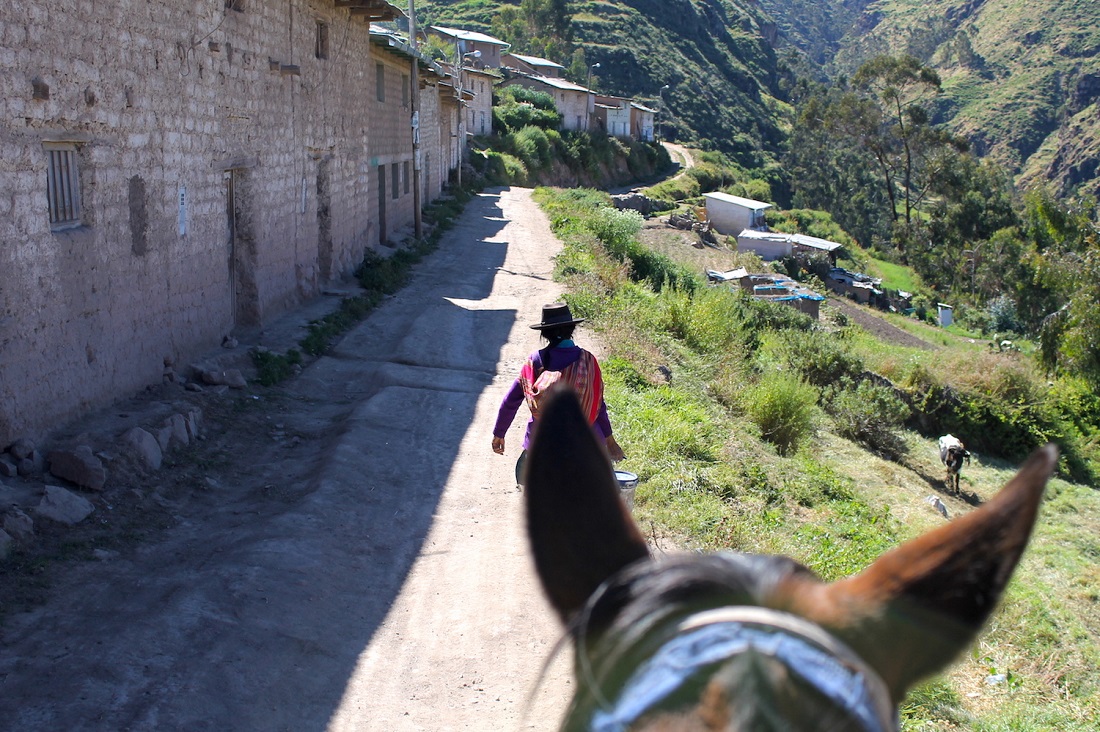 Viñac Yauyos horsing