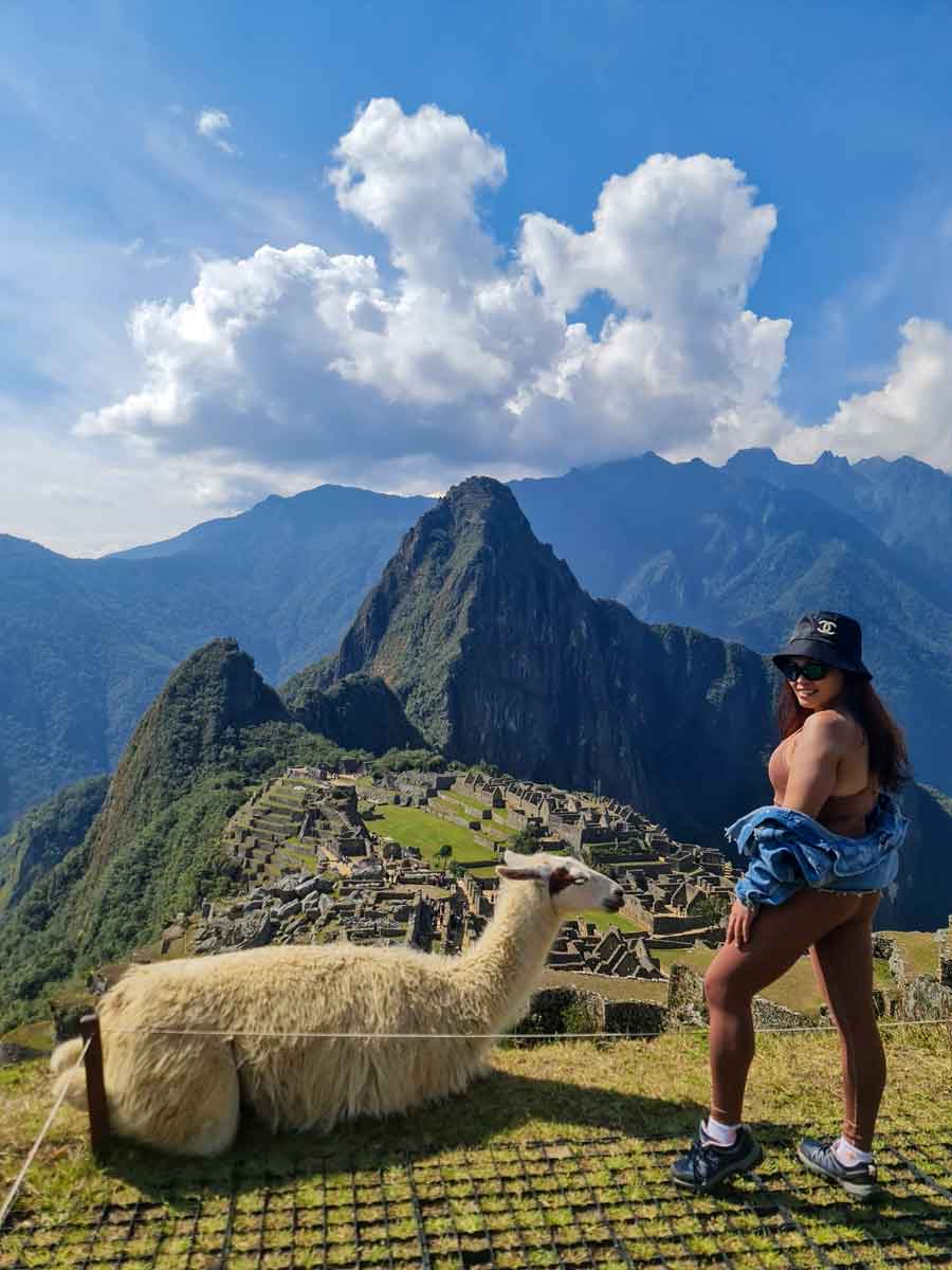 What companies offer guided tours to see llamas around Machu Picchu?