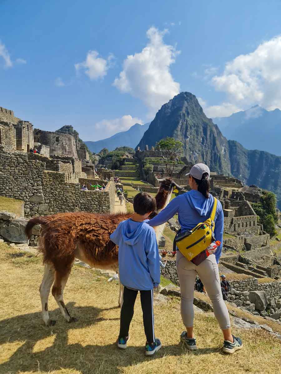 What travel agencies specialize in Machu Picchu llama trekking experiences?